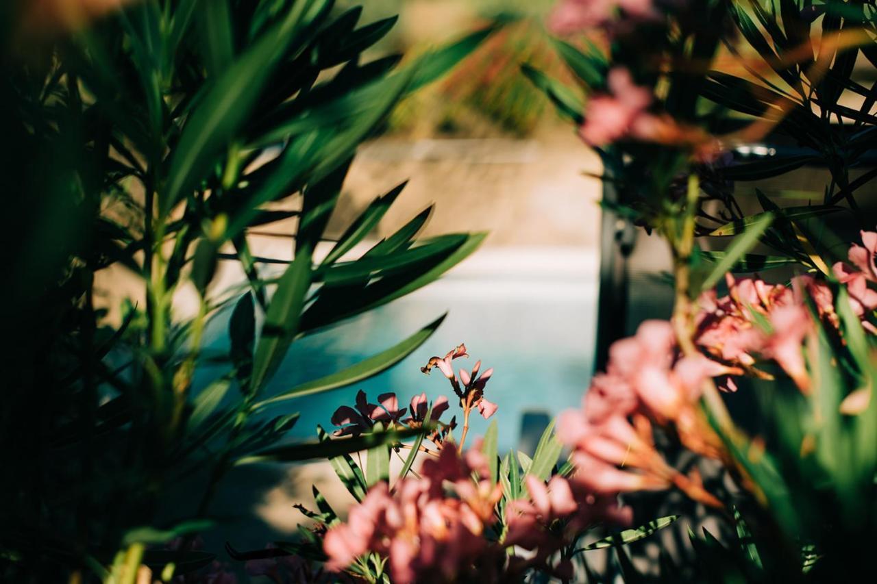 Clos Saint-Michel Resort & Spa Malaucène エクステリア 写真