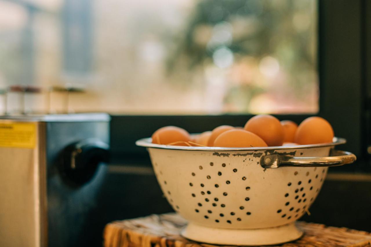 Clos Saint-Michel Resort & Spa Malaucène エクステリア 写真