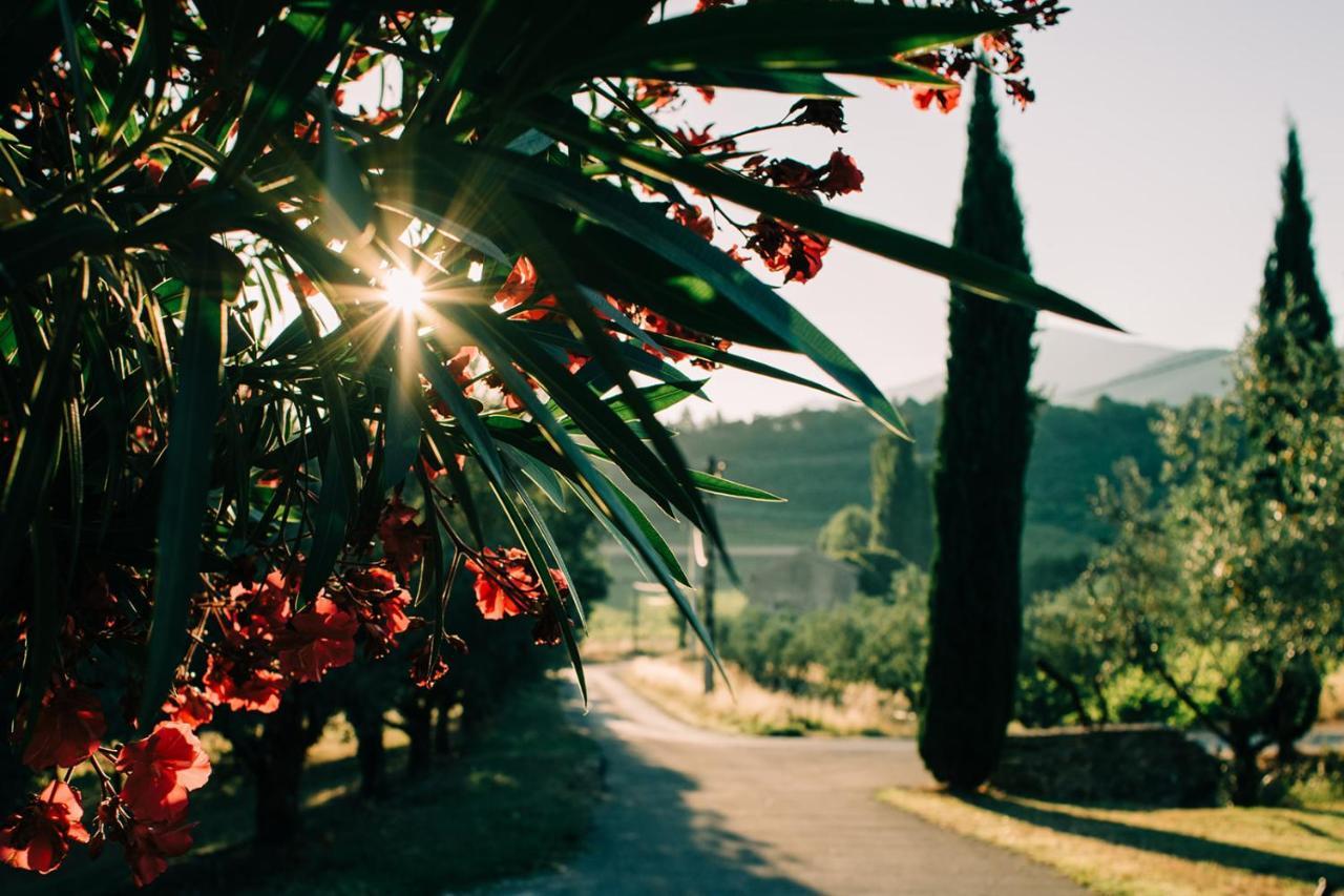Clos Saint-Michel Resort & Spa Malaucène エクステリア 写真